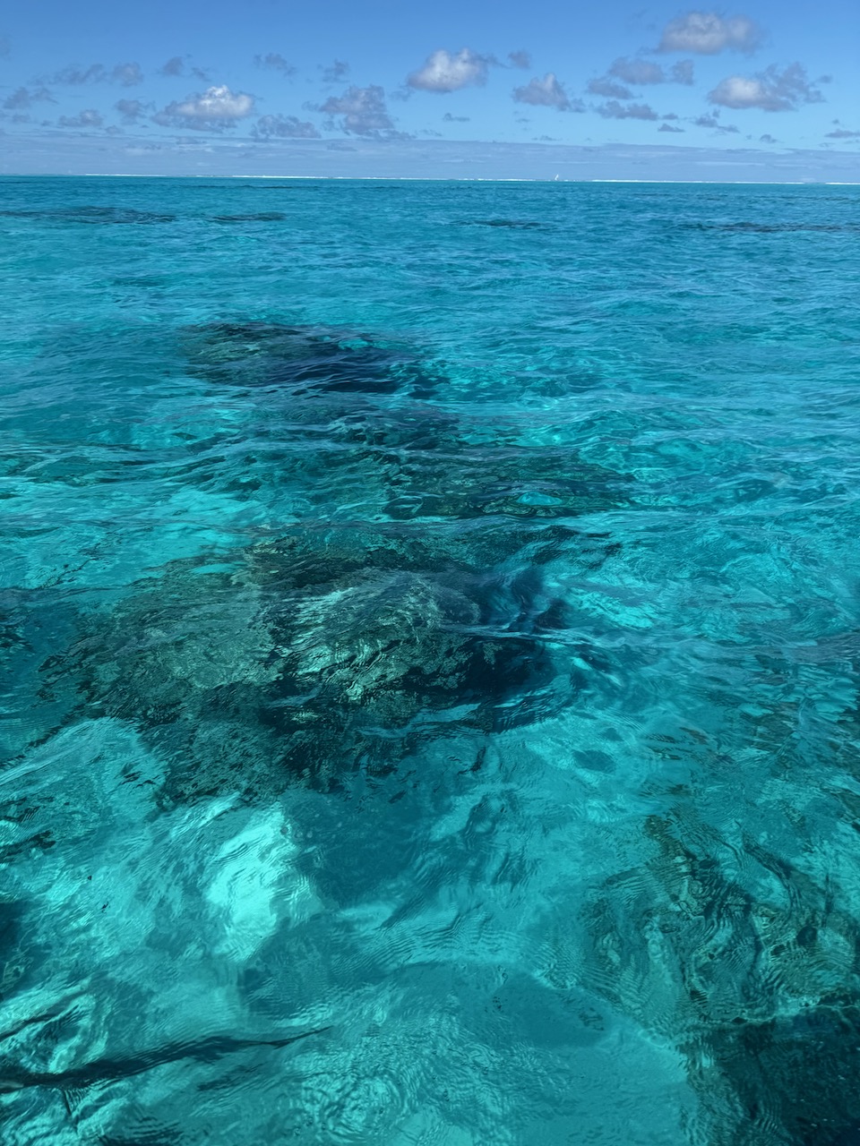 Coral garden visible through impossibly clear turquoise water